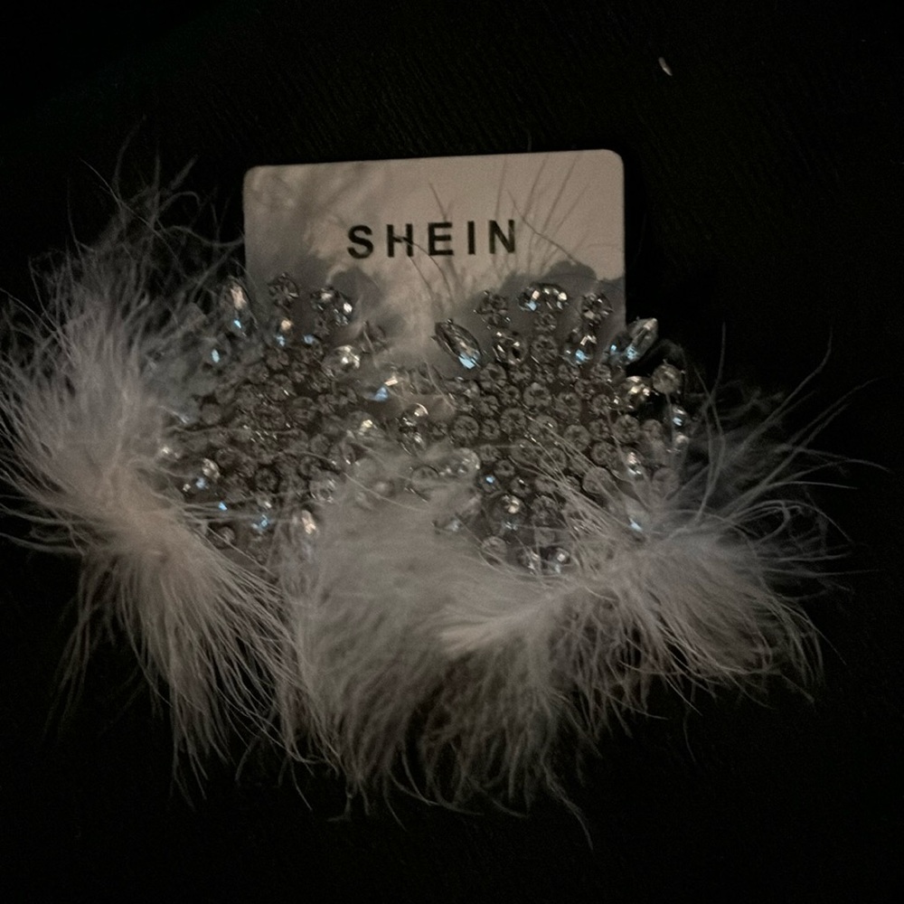 Feather 🪶 and crystal earrings  NWT